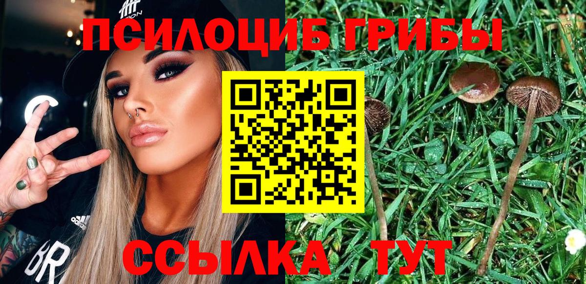 Псилоцибиновые грибы GOLDEN TEACHER  Вход с VPN  Химки 